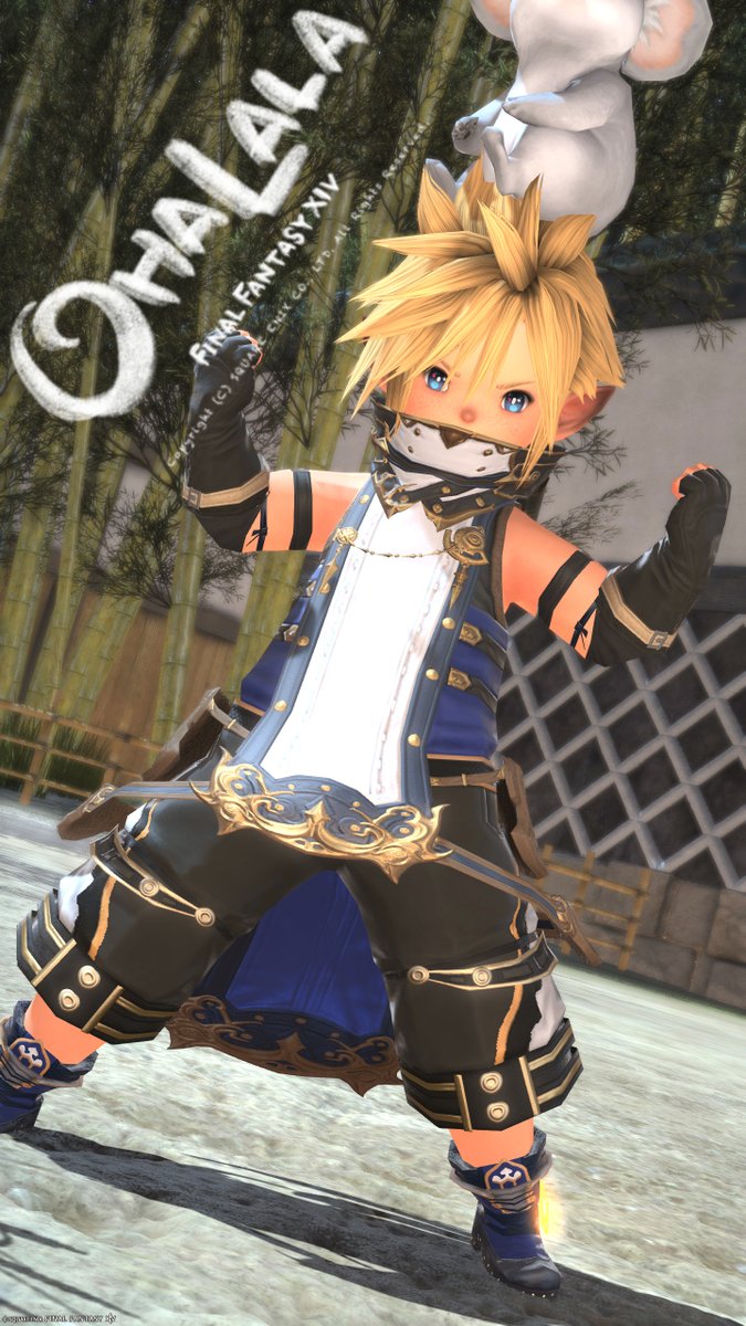 アズ(Azu Lite)🐨Aegis tweet media