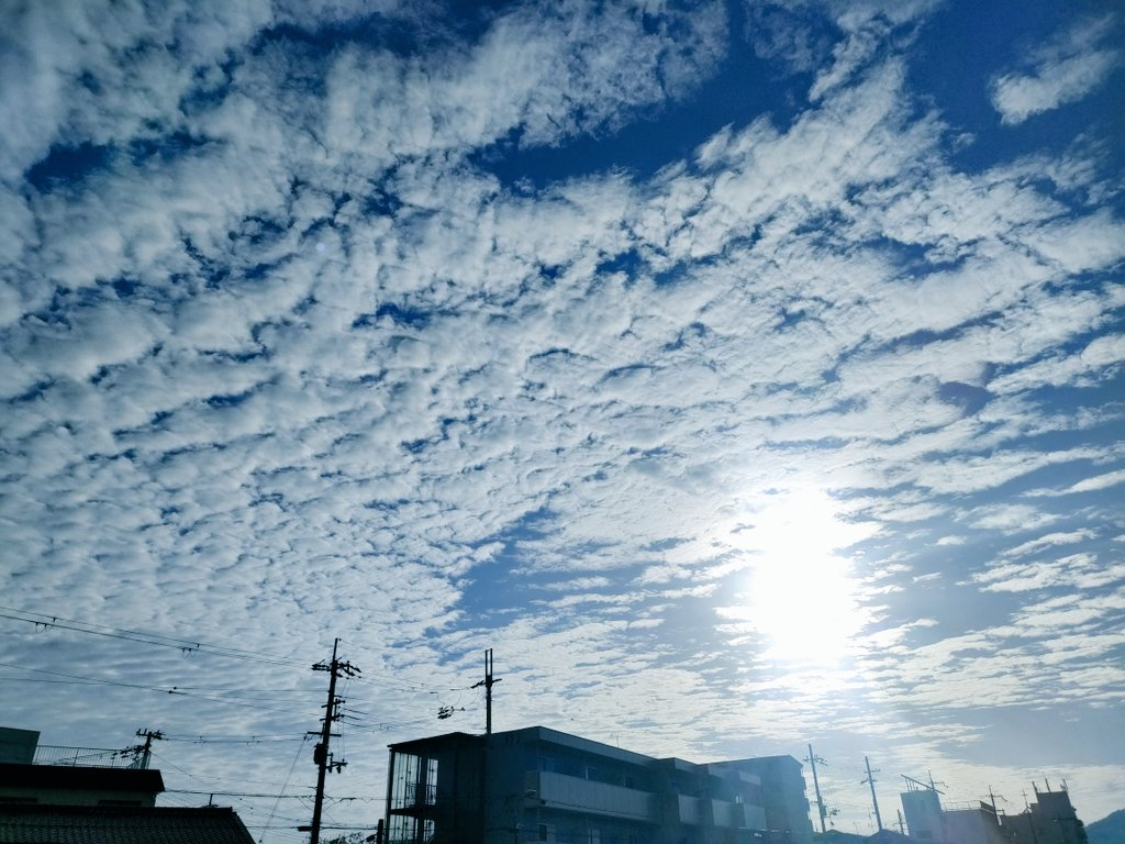 𝙼𝚊𝚍𝚘𝚔𝚊 𝙼𝚒𝚢𝚊𝚖𝚘𝚝𝚘 tweet media