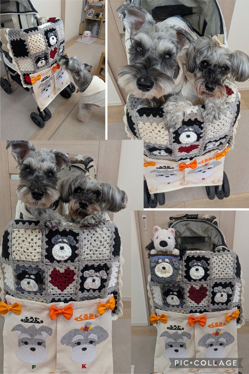 ☆。**✨kyoko☆y✨*。*☆ tweet media