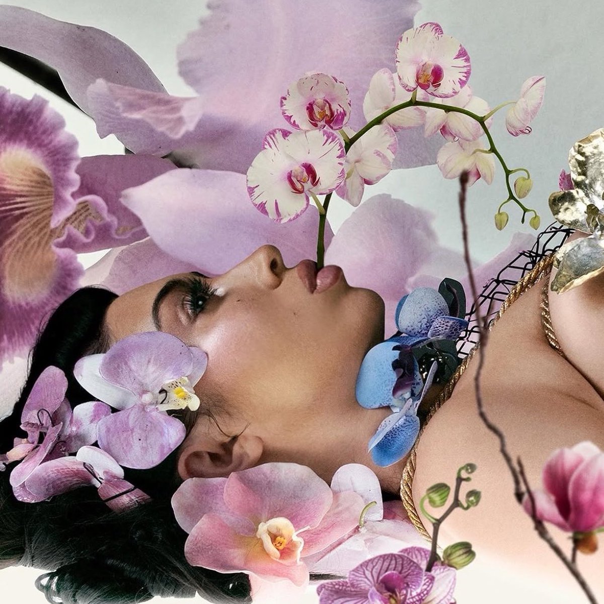 Kali Uchis Charts tweet media