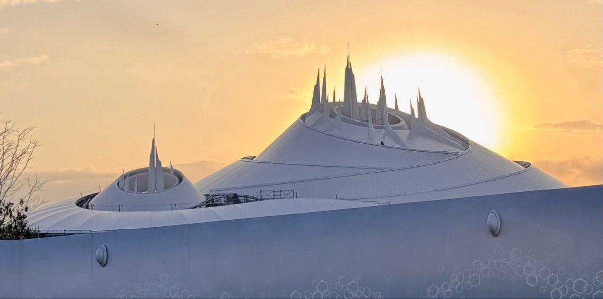 DW Design tweet media