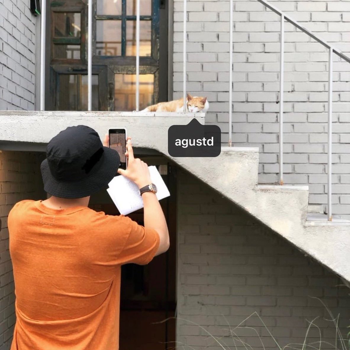 shout out to yoongi hyung's cat tweet media