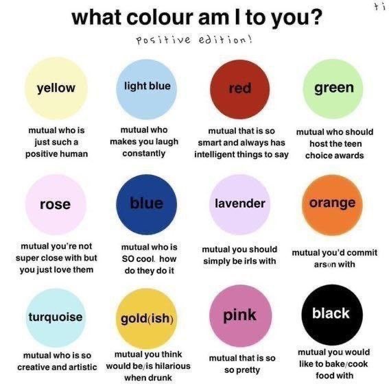 sharkie ˙𐃷˙ // shtwt tweet media