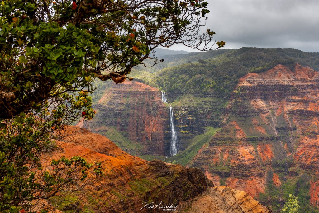 Kris Luckenbach tweet media