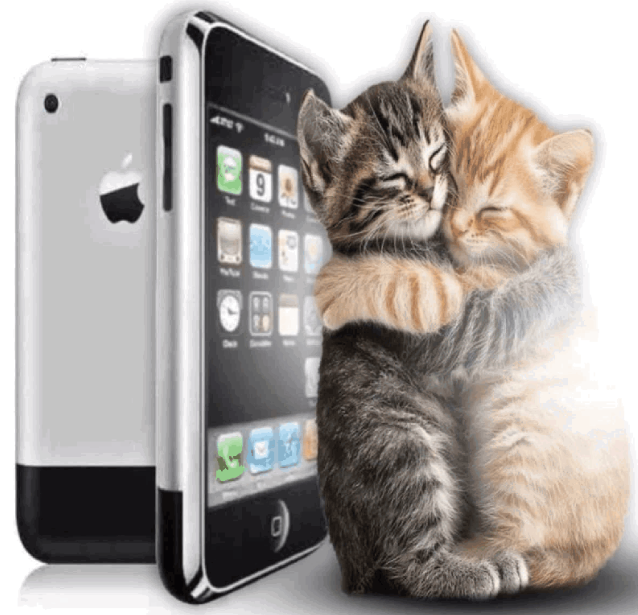 brainrot dimension tweet media