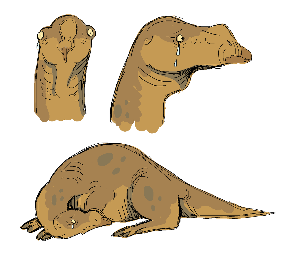 🌾🌿🪿 Holly 🪿🌿🌾 tweet media