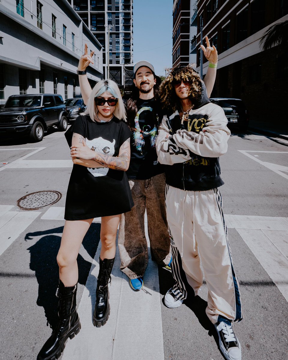 Steve Aoki tweet media