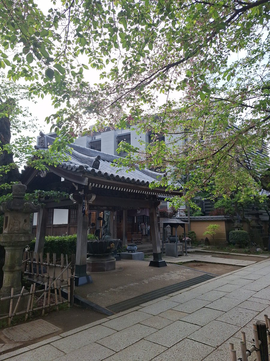 海老ドリアン tweet media