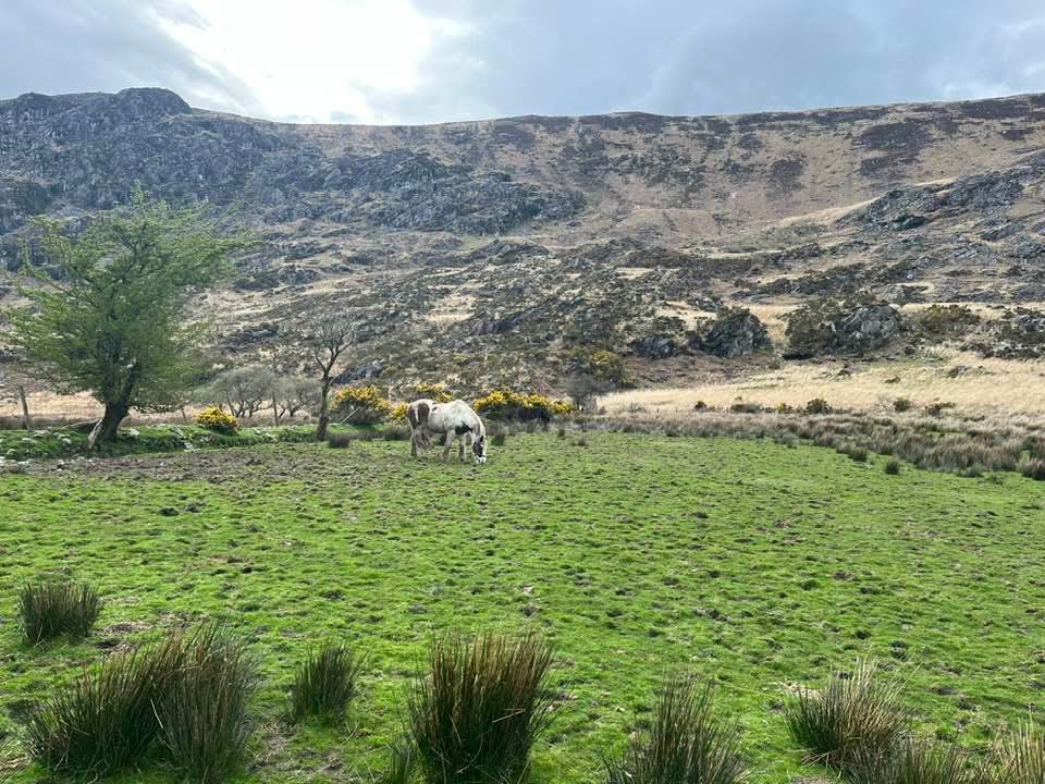 ThisIsIreland3's tweet image. A cold but beautiful evening at the Gap of Dunloe 🏞️⛰️

📍County Kerry - Ireland ☘️ 

📸 Fiona Barry 

#Ireland #Kerry #Gapofduloe #Wildatlanticway