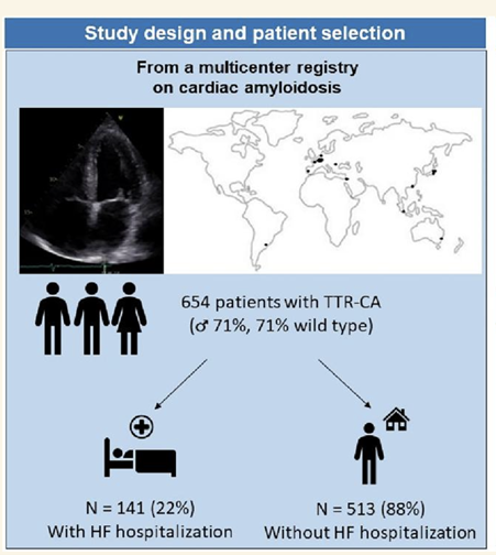 htp_ic's tweet photo. Análisis cohorte internacional de amiloidosis ATTR – por la Dra. Carosella

Estudio retrospectivo multicéntricocon 654 pacientes ATTR del mundo real.
Edad mediana 78 años; 70% hombres; 70% wild-type; 44% con terapias modificadoras (97% tafamidis).
Seguimiento mediano: 24 meses. https://t.co/1xF7ZAaJG1