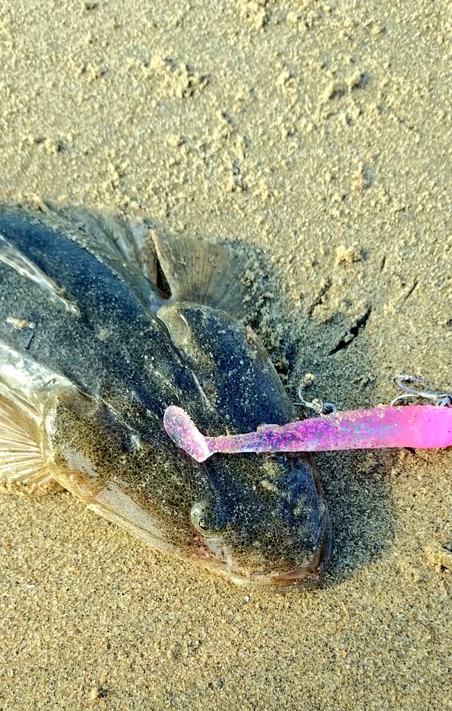 スズキさん tweet media