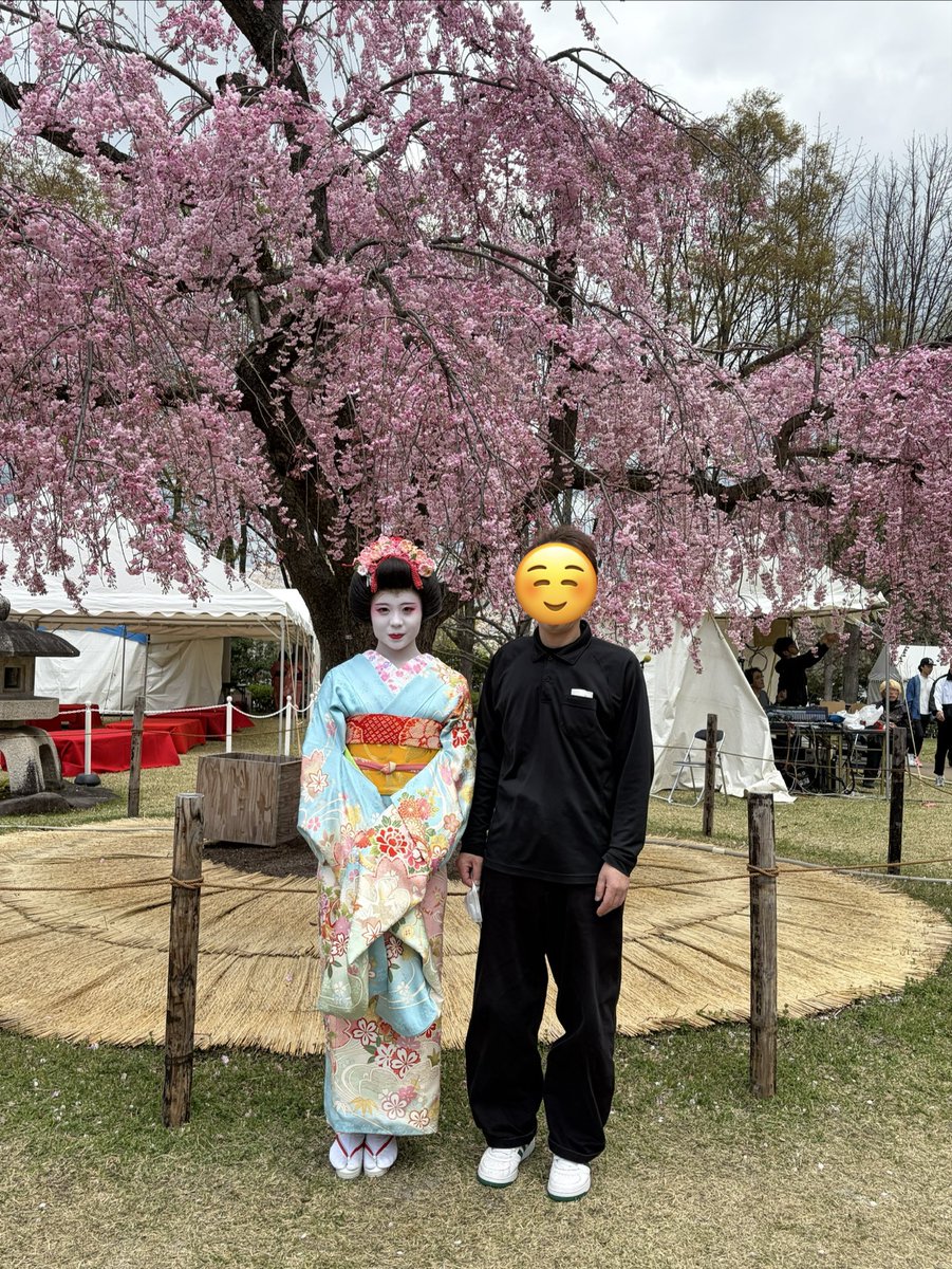 舞妓さんと枝垂れ桜 おはようございます😊 こちらでは桜🌸が散り始めてきました 先週末に某