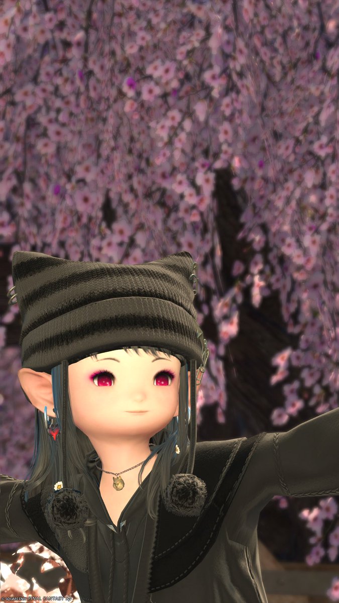 ちゃきすけ tweet media