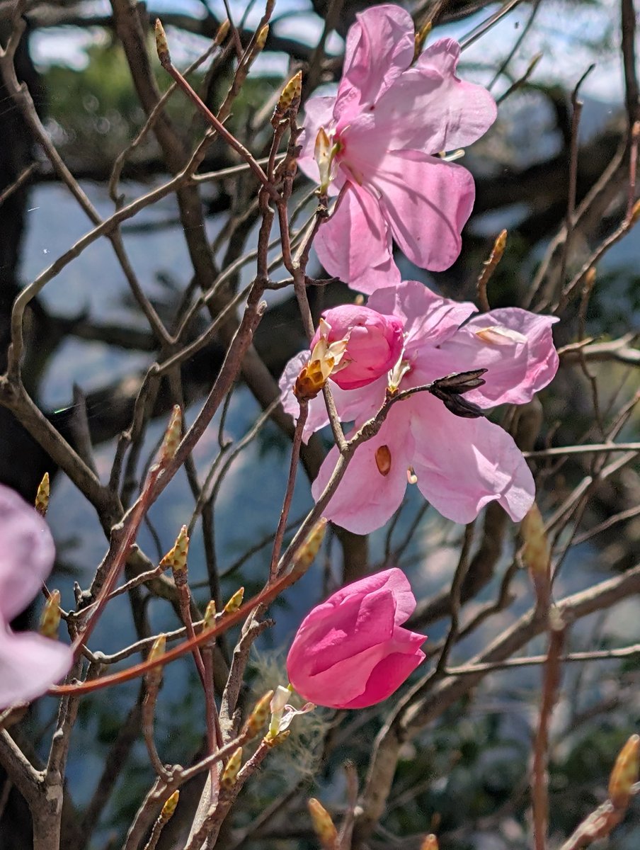 manbou0720 tweet picture