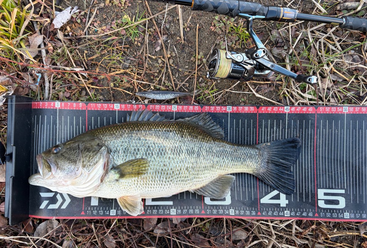 PEI@YODOGAWA tweet media