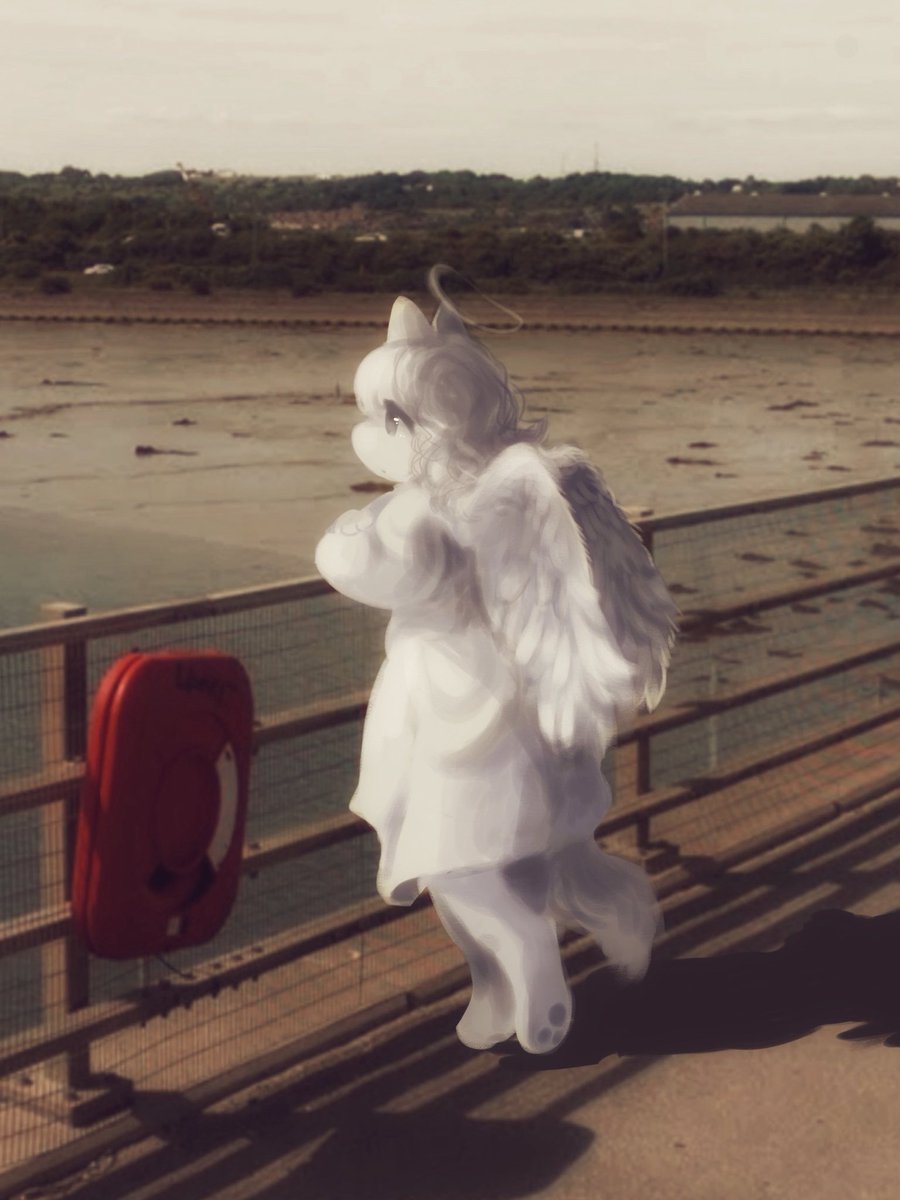 nessie🐮 tweet media