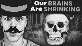 The Magnificent Henry tweet media