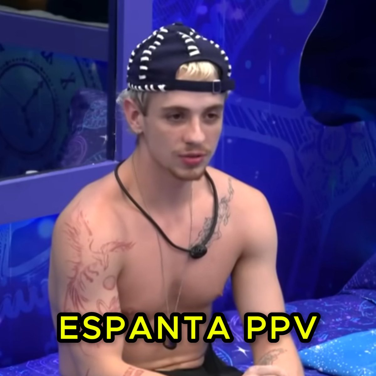 Zuri 🦊 tweet media