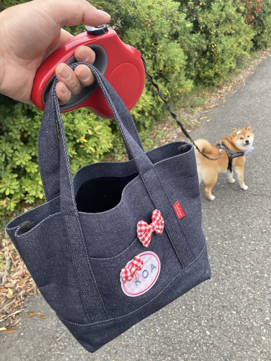 Takasan43228157's tweet image. 意外と評判の良い心亜お出かけバッグ。
100均のカバンに、イチゴ模様のワッペンを貼り付け、その上にKOAとワッペンで貼り付けてます。ミニリボンはママさんが作ったのを貼り付け、大きいのは心亜の頭用のリボンを付けてます。
#心亜 #dogsofinstagram #柴犬との暮らし #shibainu #柴犬のいる幸せ