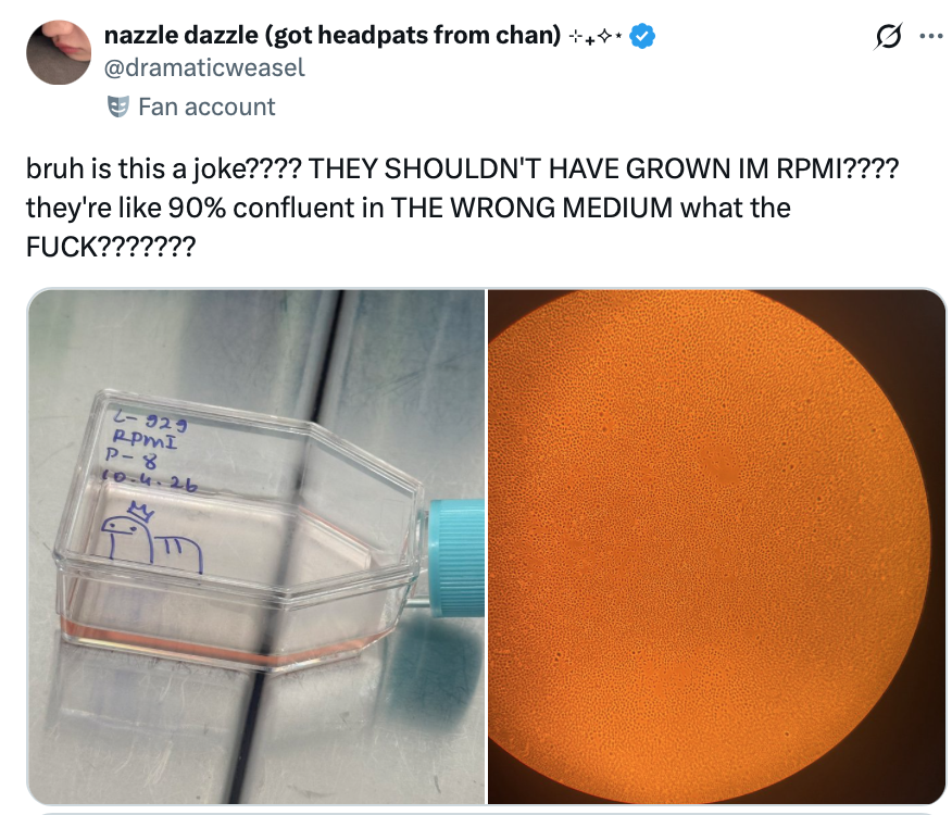 Bang Chan Empire tweet media