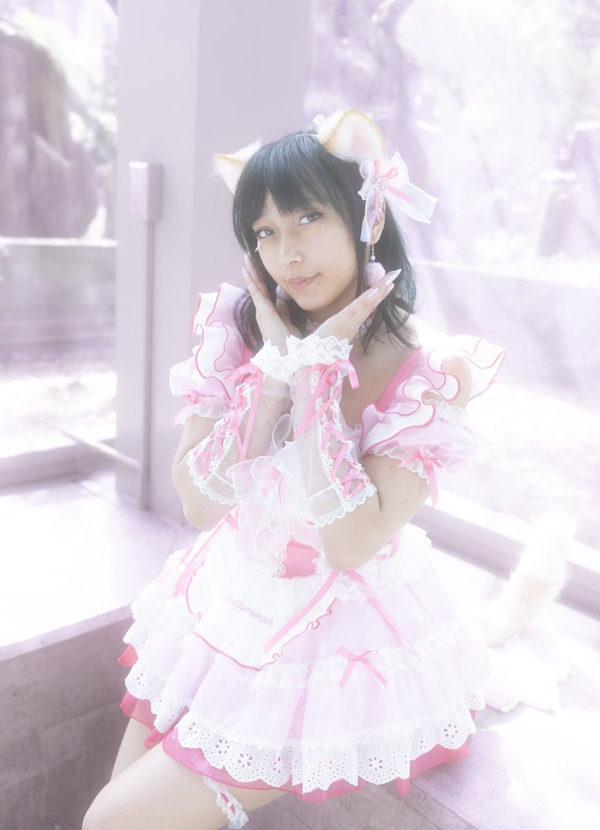 Asobi☆Pawtime tweet media