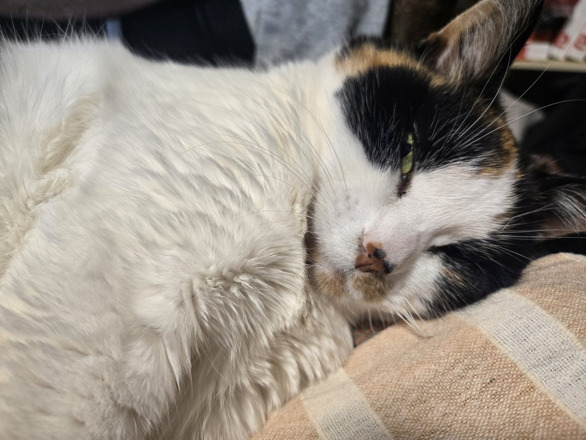 えじみその tweet media