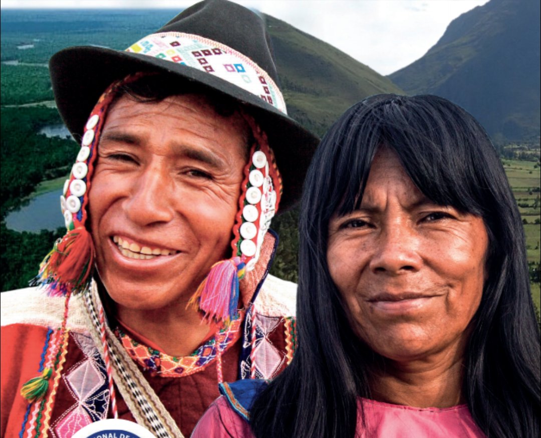 Raymond Zambrano tweet media