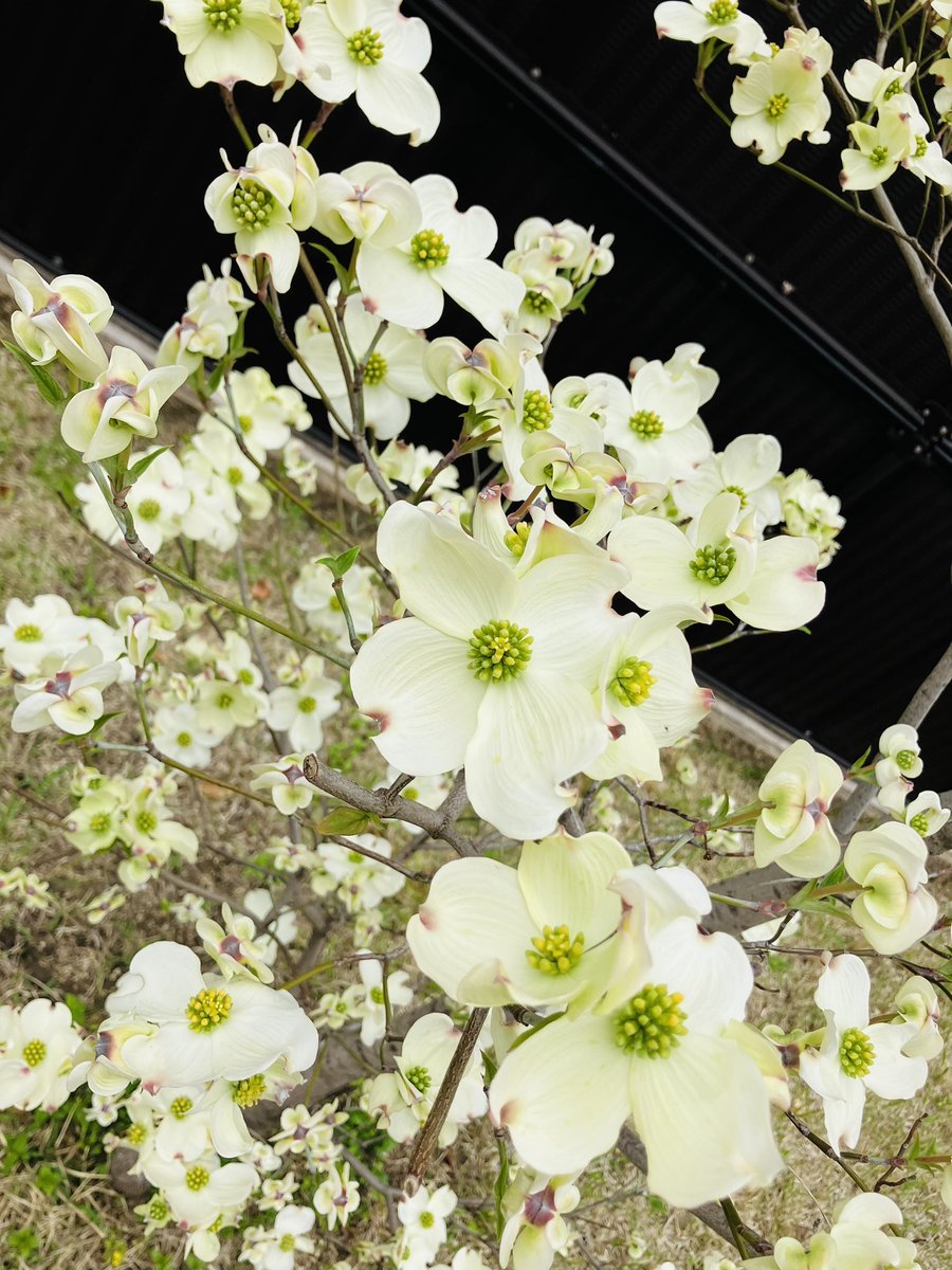 【公式】京都リハビリテーション病院 tweet media