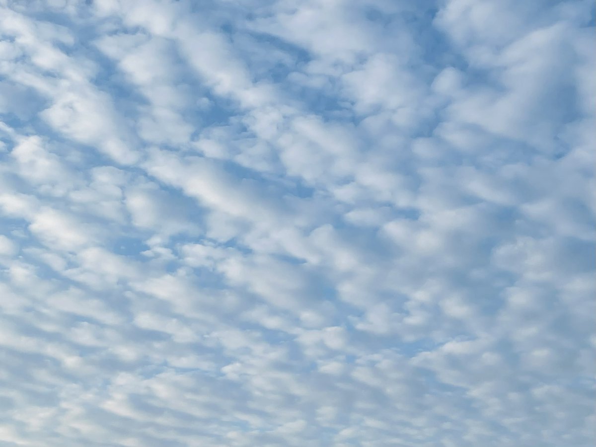 【公式】京都リハビリテーション病院 tweet media