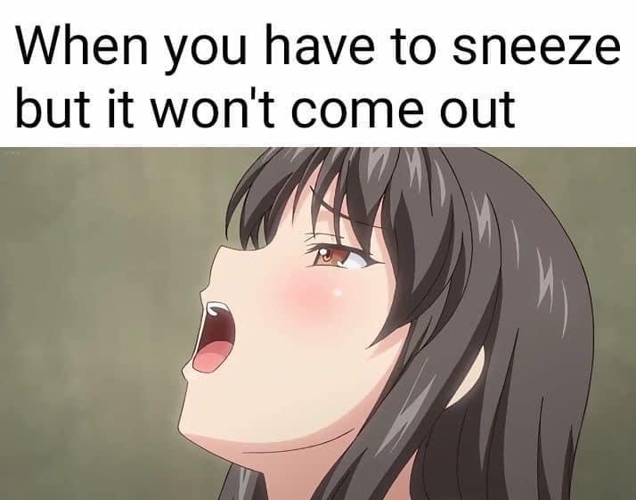 Joshua Anderson tweet media