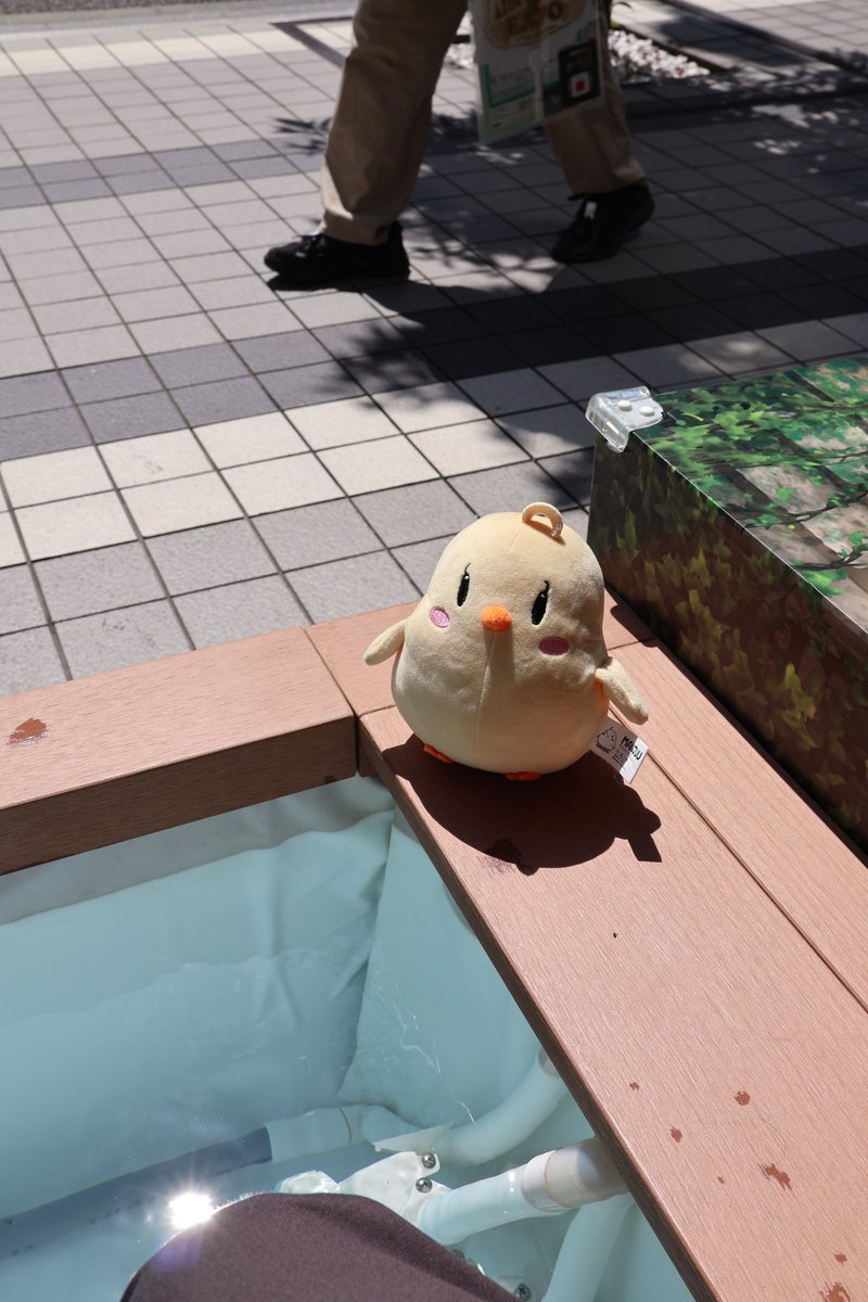 アルトー tweet media