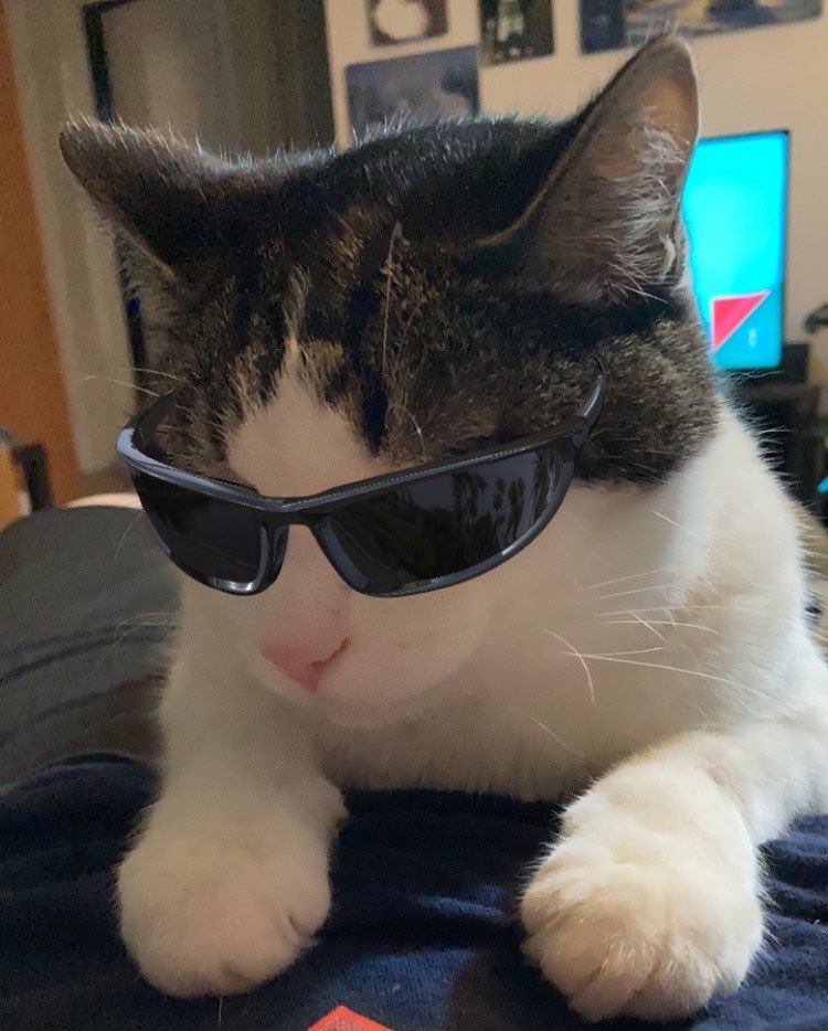 Michelle tweet media