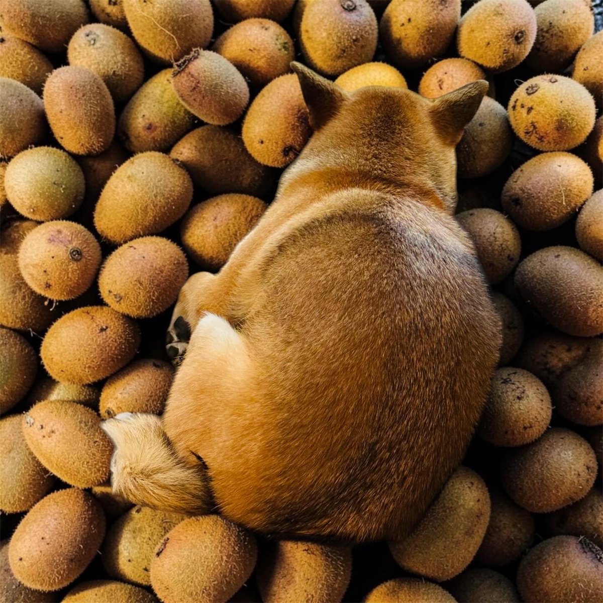 すぅ。 tweet media