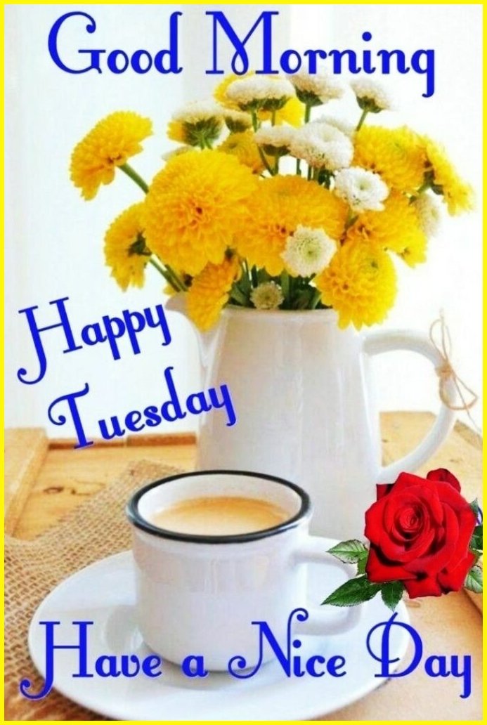 T G Ram Mohan (T G R) tweet media