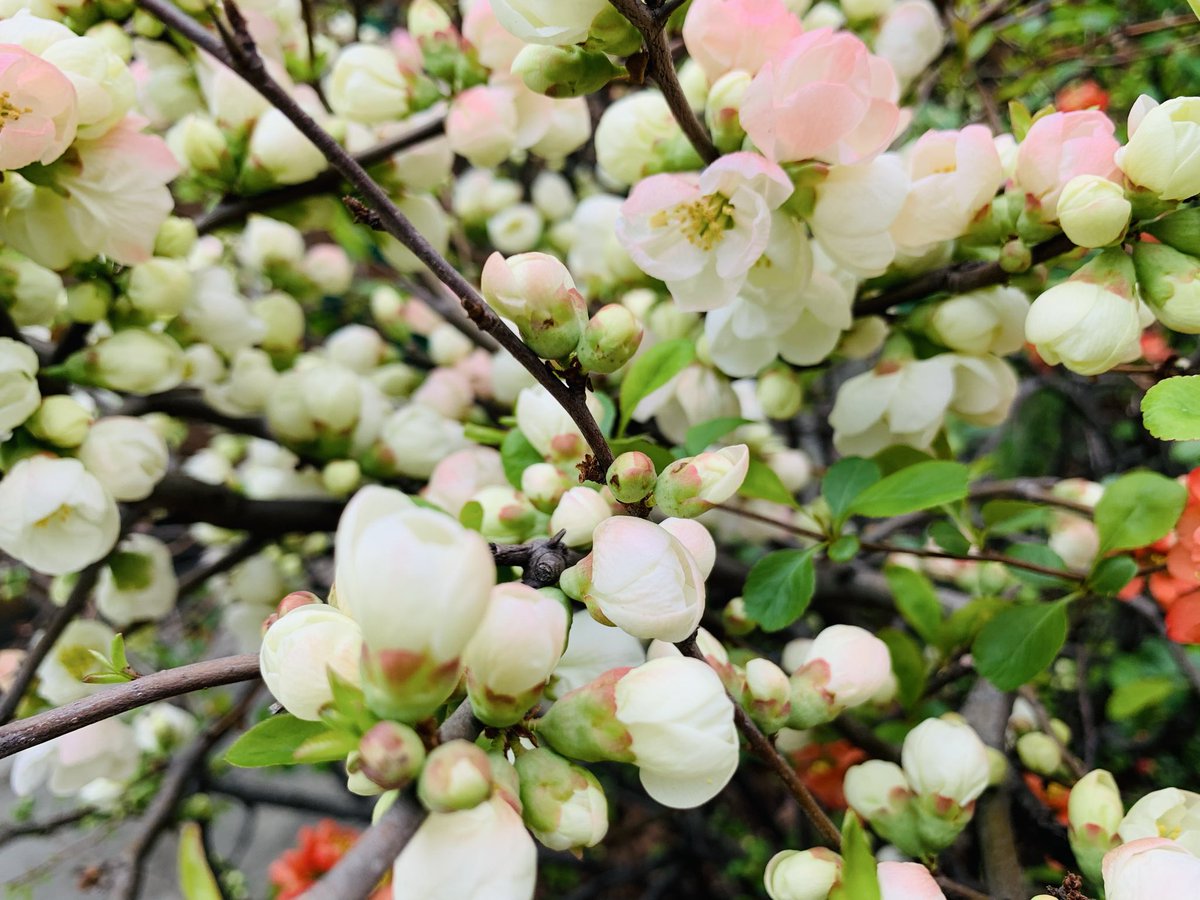 김희숙 tweet media