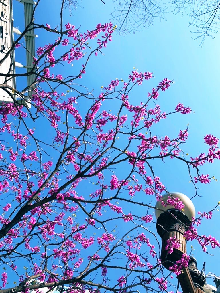 김희숙 tweet media