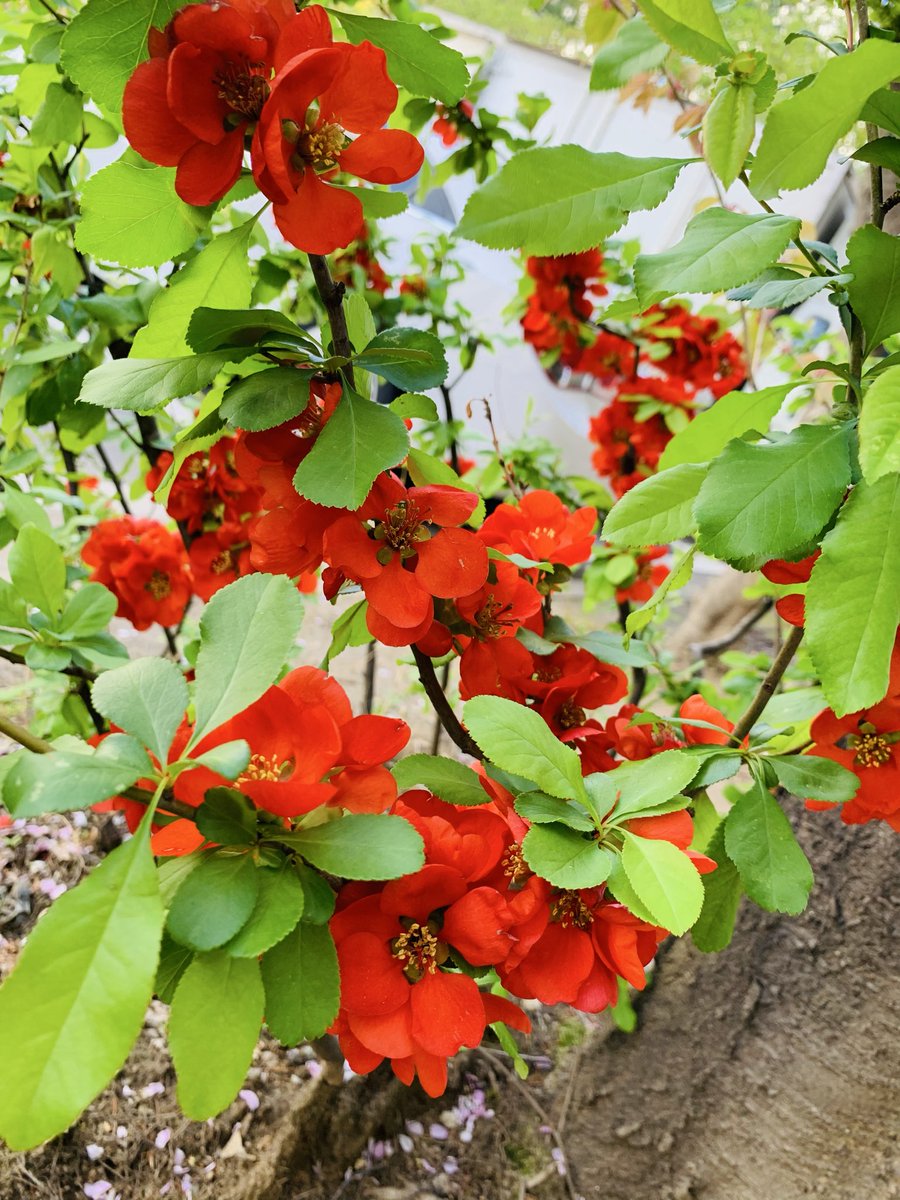 김희숙 tweet media