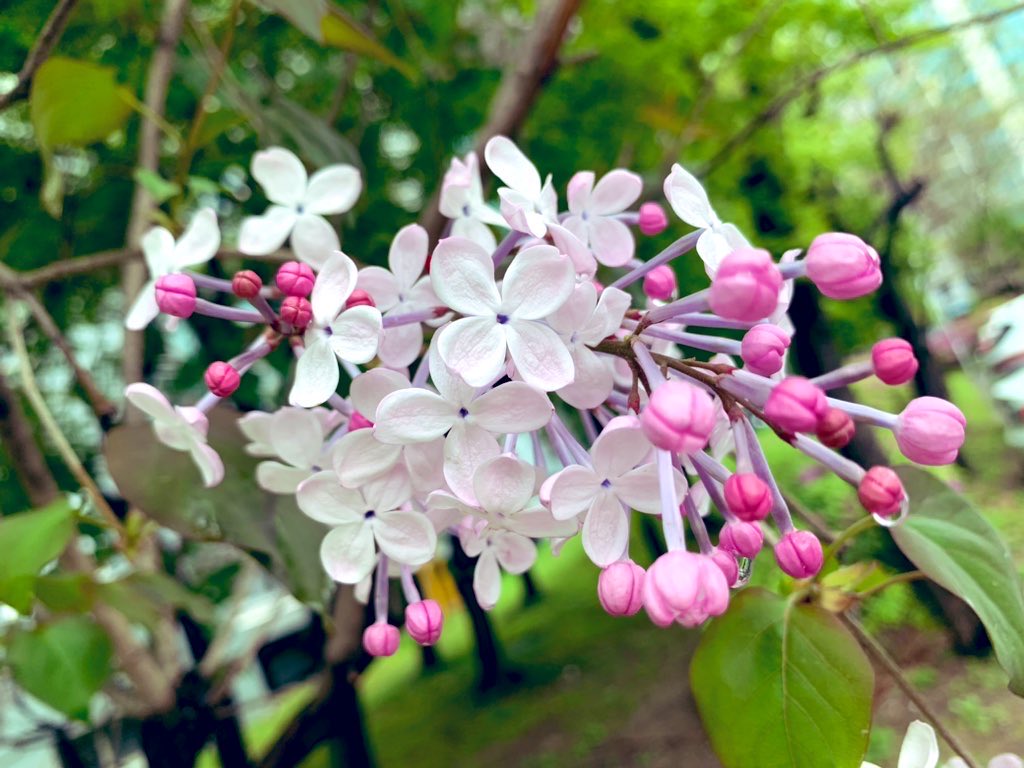 김희숙 tweet media