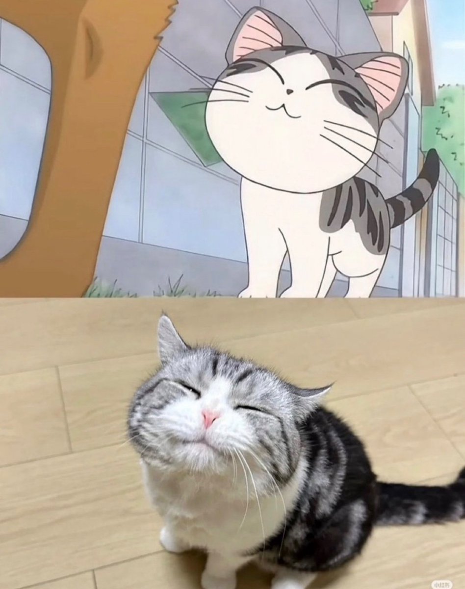 犬しか勝たん tweet media