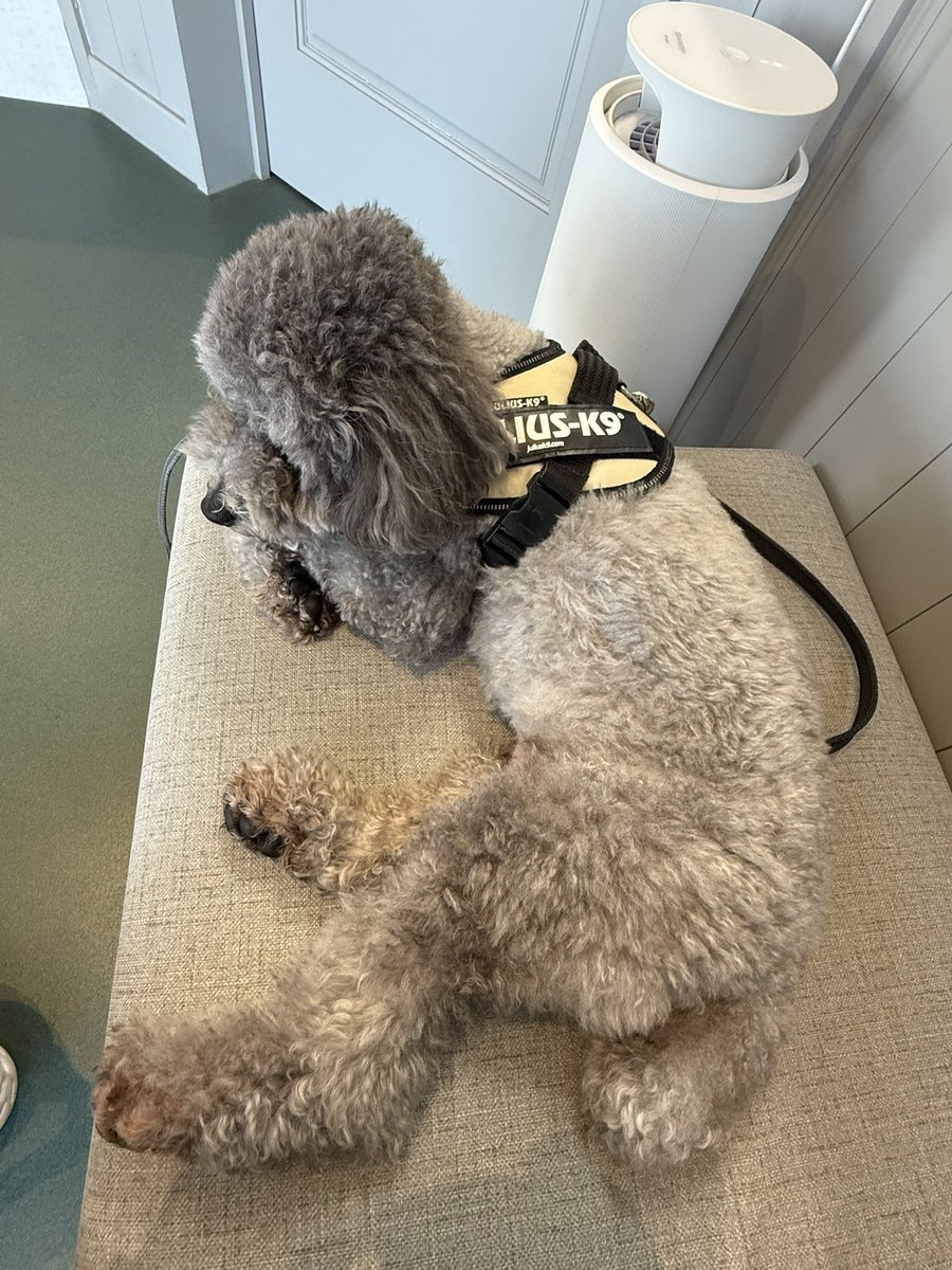 だー@ゴルフ好きの経営してる人 tweet media