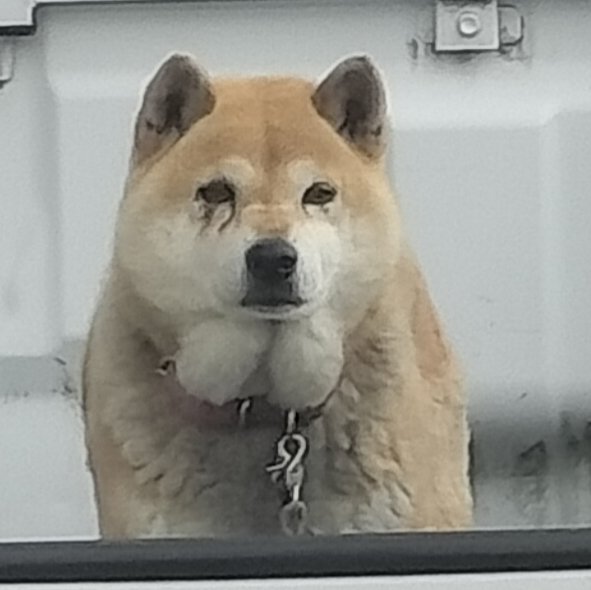 サミー@姉御 tweet media