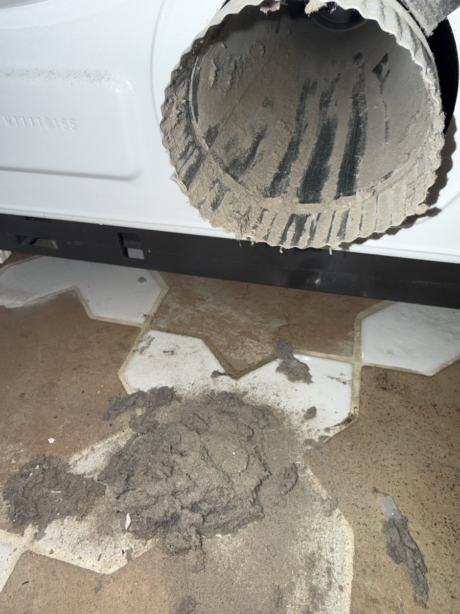 Cernovich tweet media