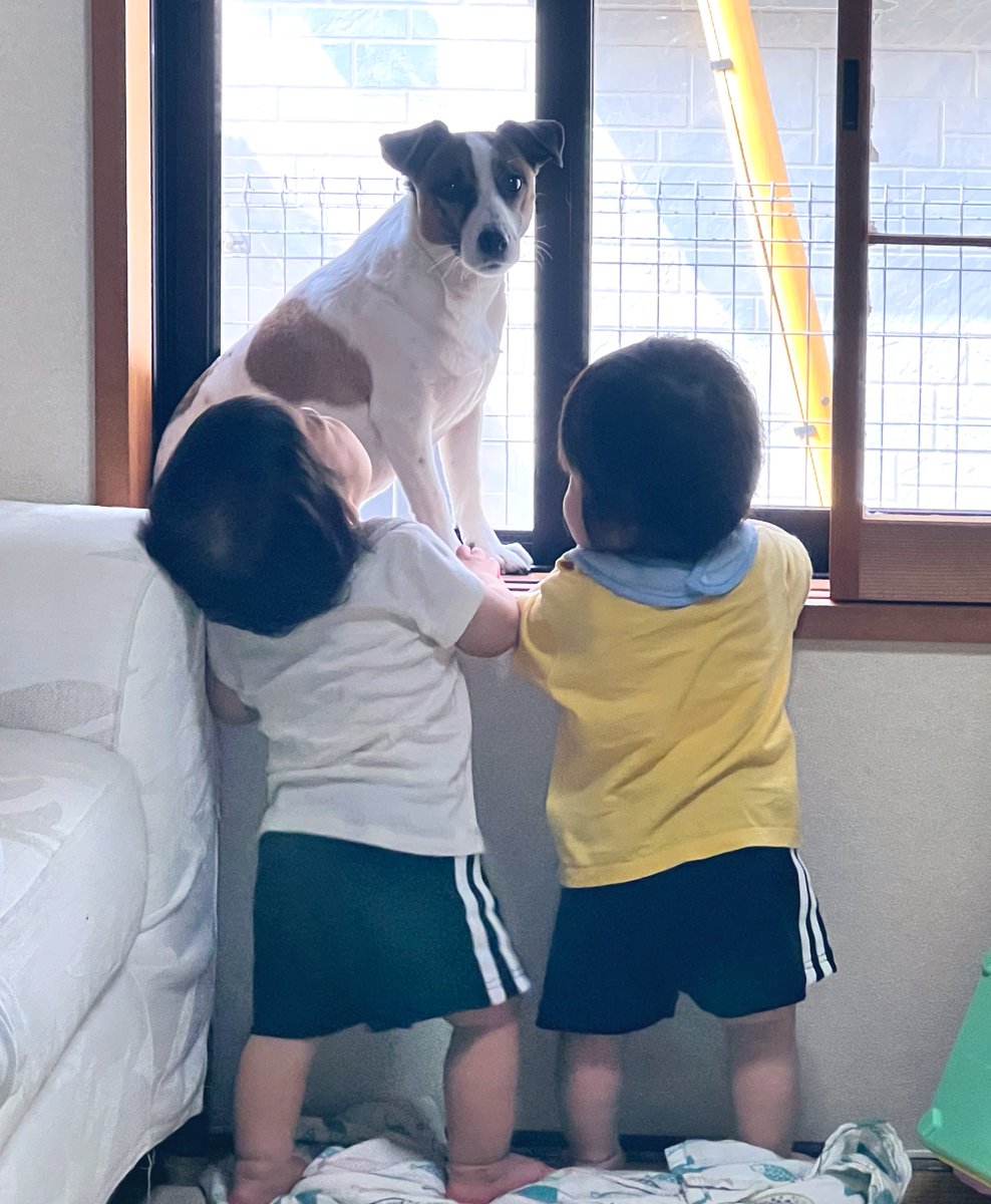 ぴまる🏹͙.*･ﾟ tweet media