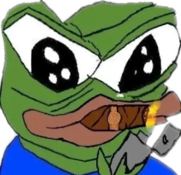 DM Raptor tweet media