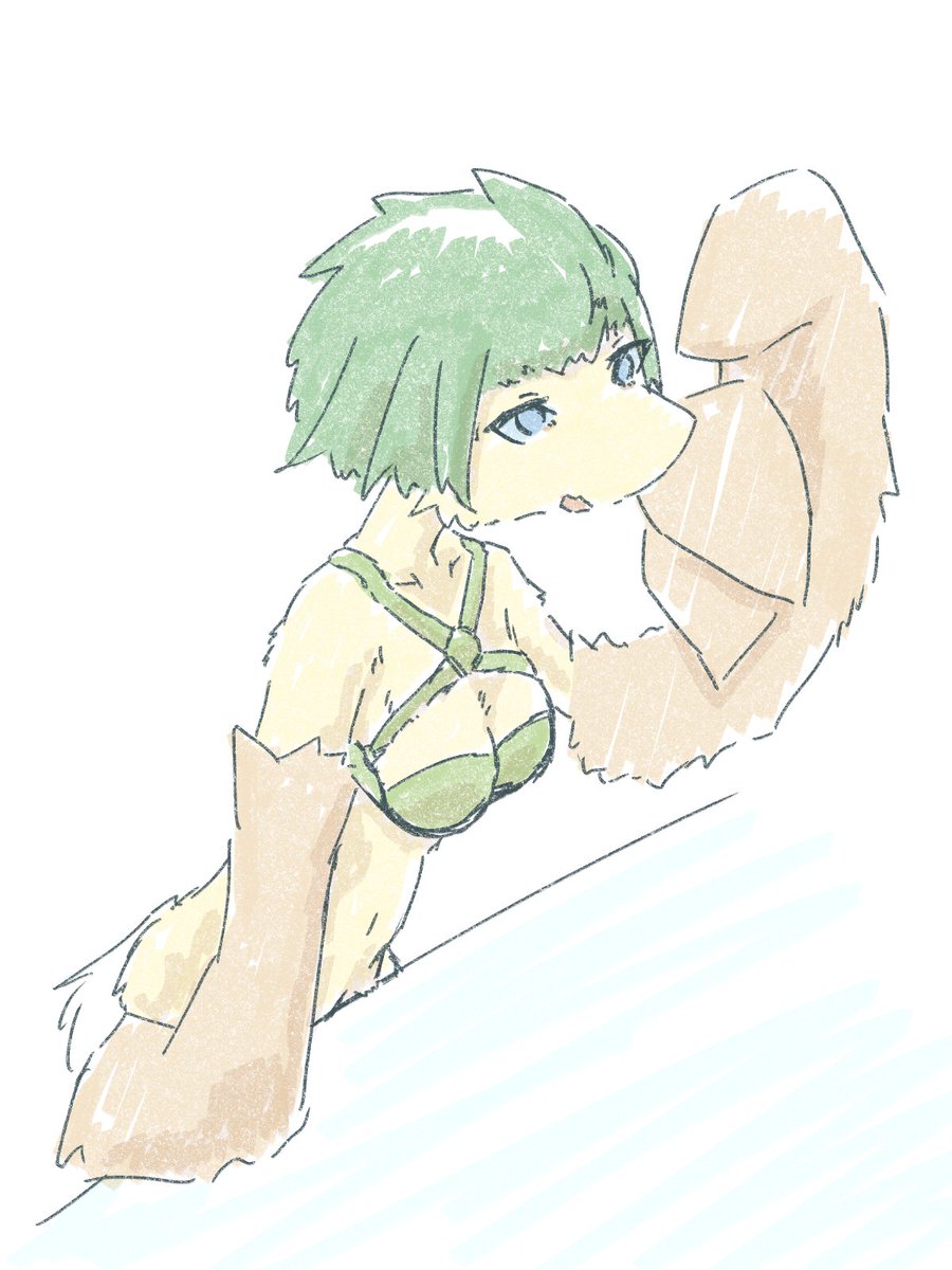 さぎり🐉 Draconidum tweet media