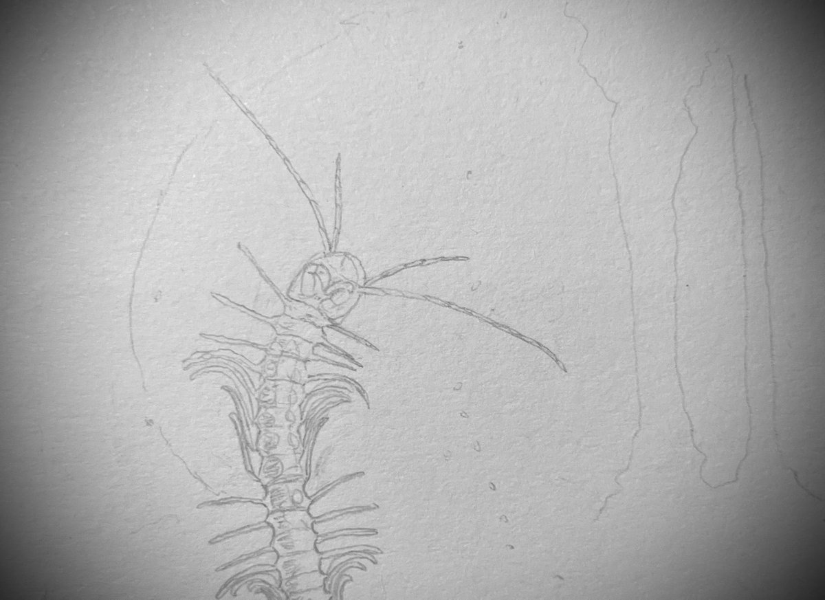 Sly 🏴󠁧󠁢󠁷󠁬󠁳󠁿 tweet media