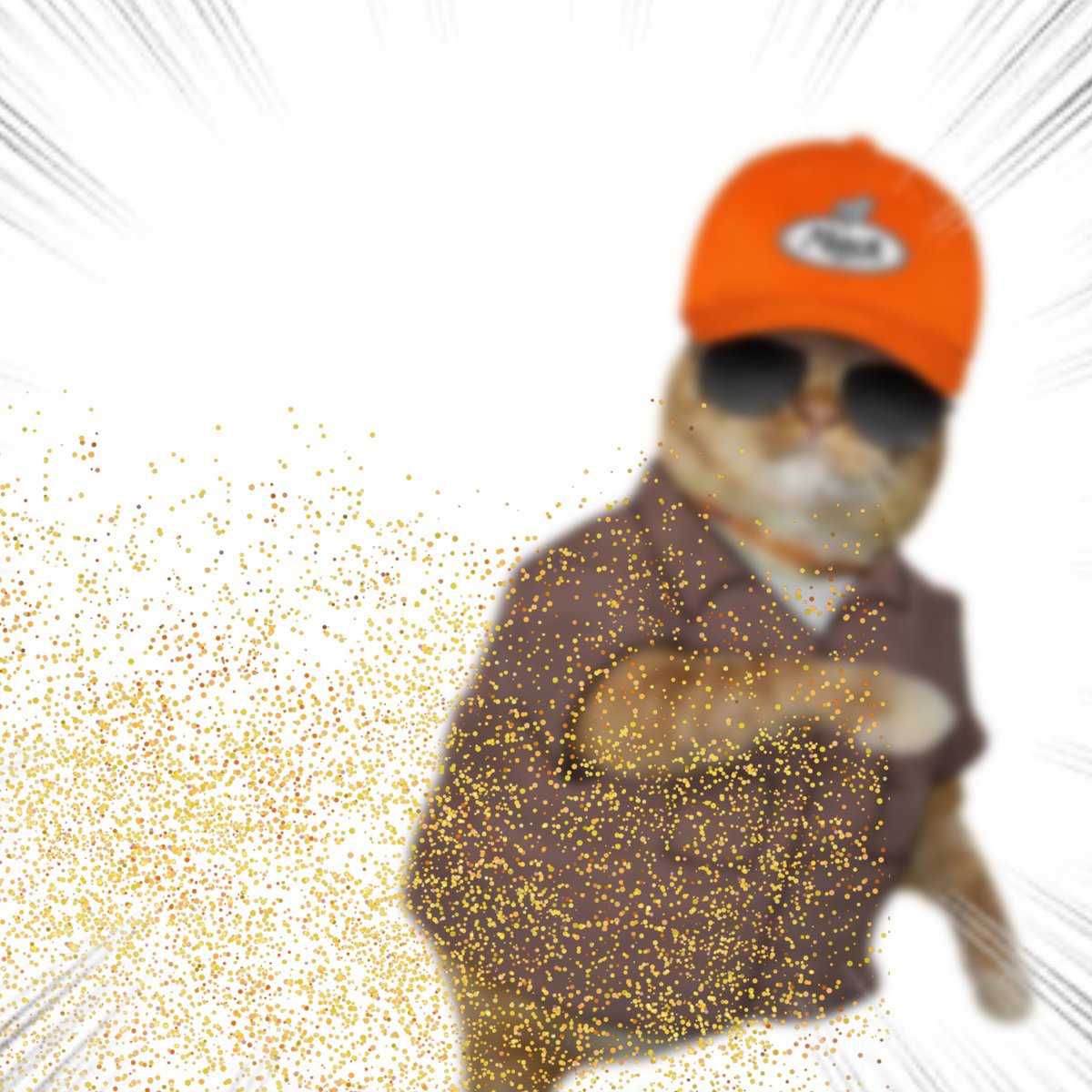 Throwing Things Daily tweet media