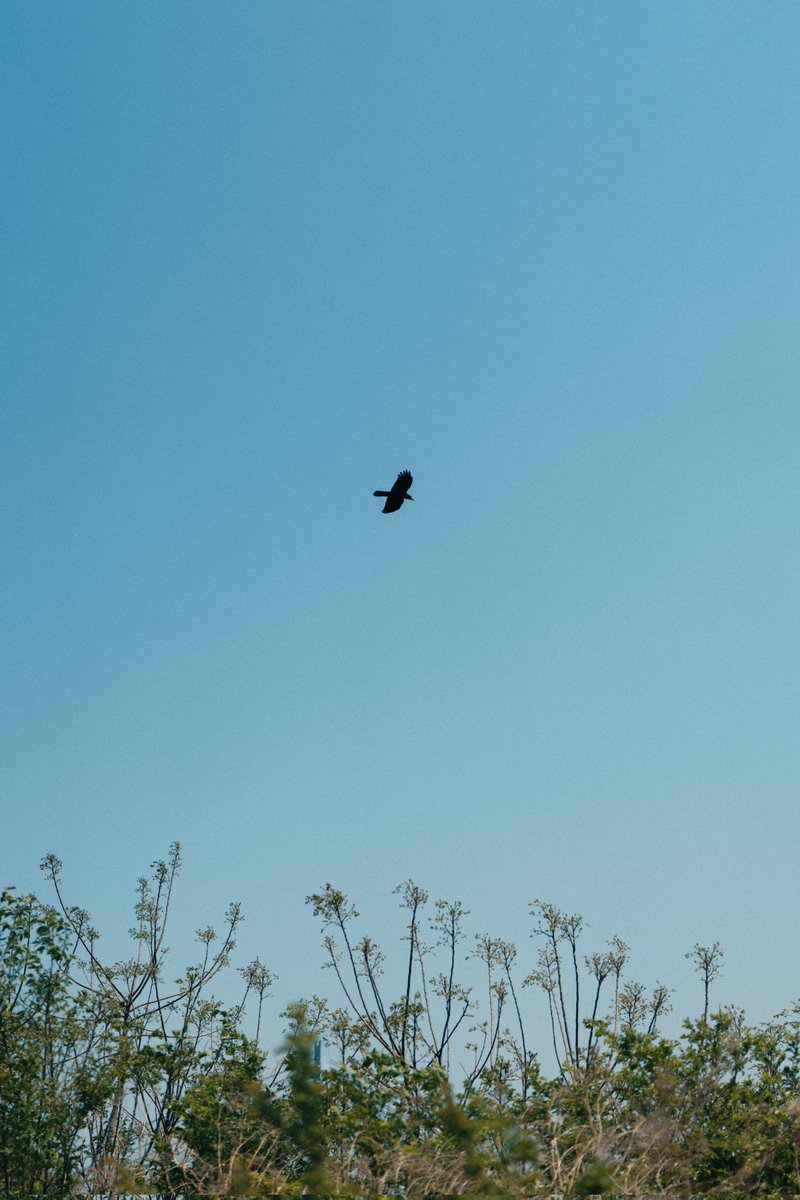 meeeetsu's tweet image. 