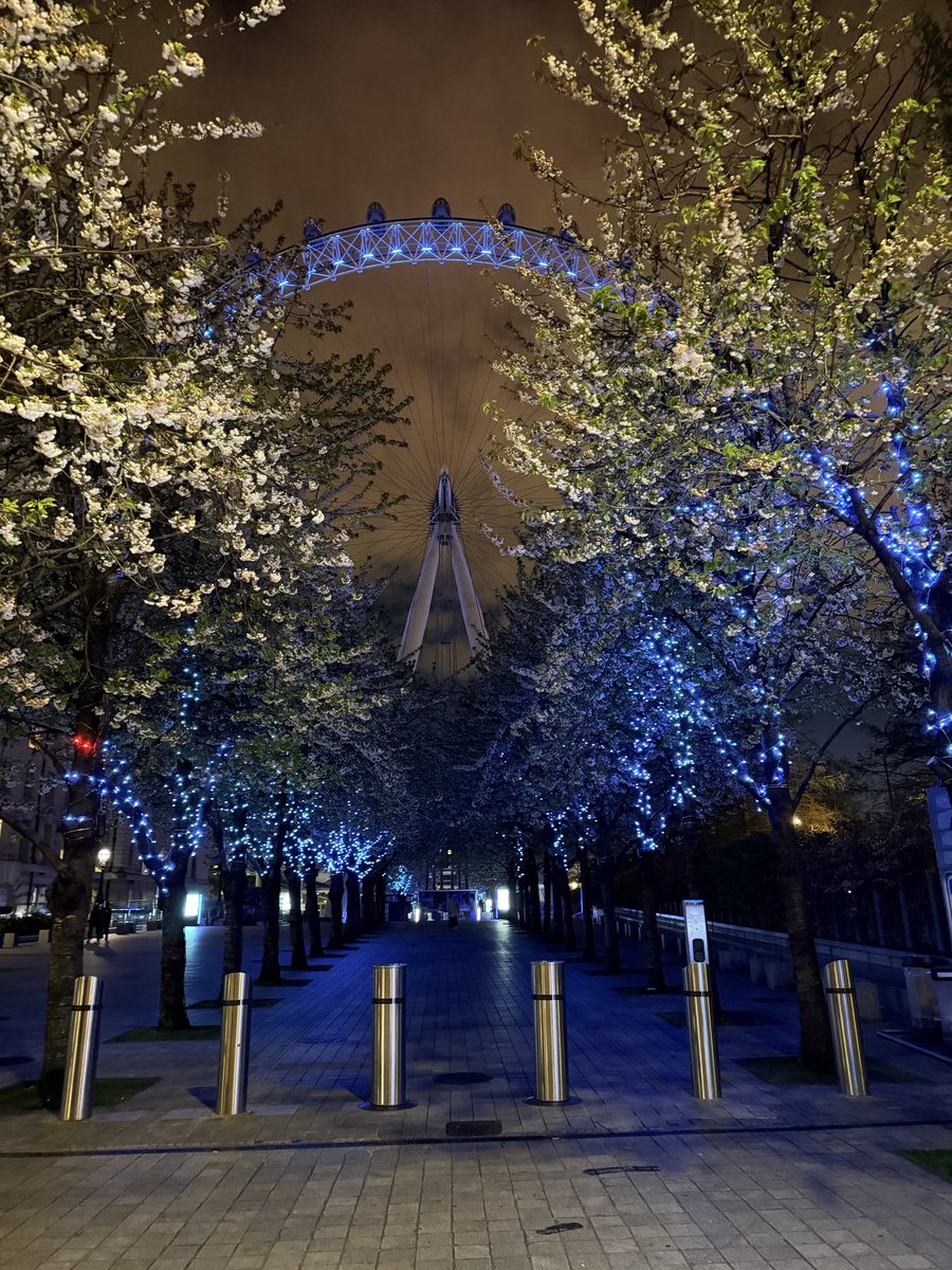 Dr. Mohammed Al Surf د. محمد الصرف tweet media