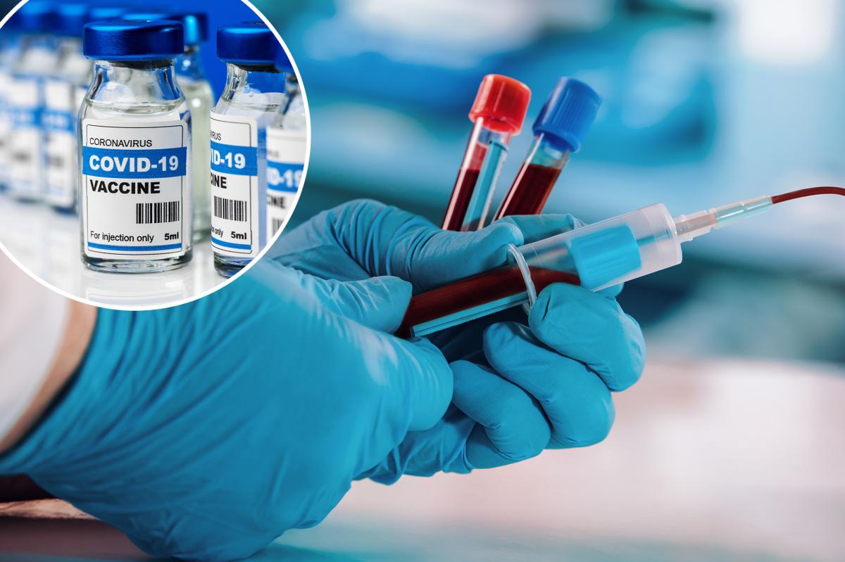 New York Post tweet media